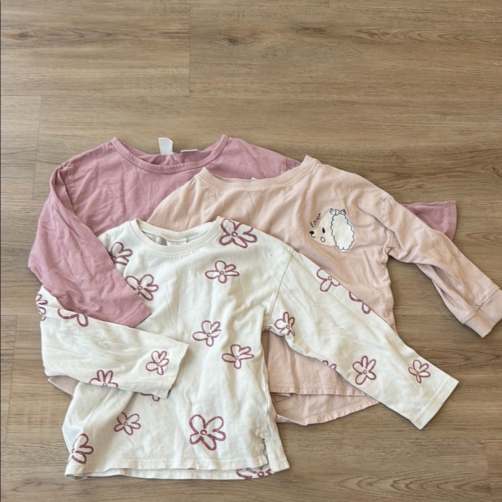 Zara Pink and Cream Long Sleeve Shirt Set